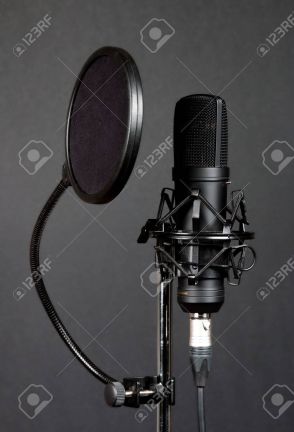 Pop filter Music master PF150